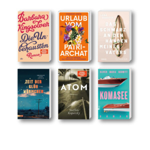 Die besten Bücher im Juli 2025: Buchcover von Barbara Kingsolver, Lena Schätte, Friederike Oertel, Steffen Kopetzky, Abubakar Adam Ibrahim, Oliver Maria Schmitt