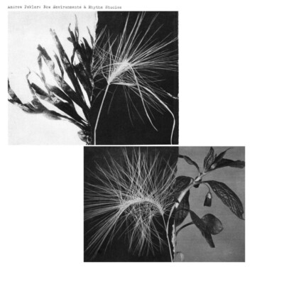 „New Environments & Rhythm Studies“ von Andrew Pekler