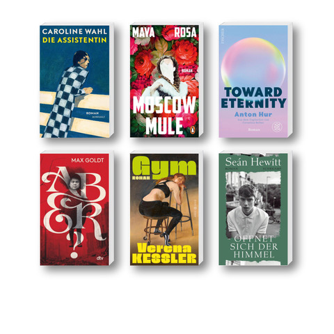 Die besten Bücher im September 2025: Buchcover von Caroline Wahl, Maya Rosa, Anton Hur, Max Goldt, Verena Keßler und Seán Hewitt