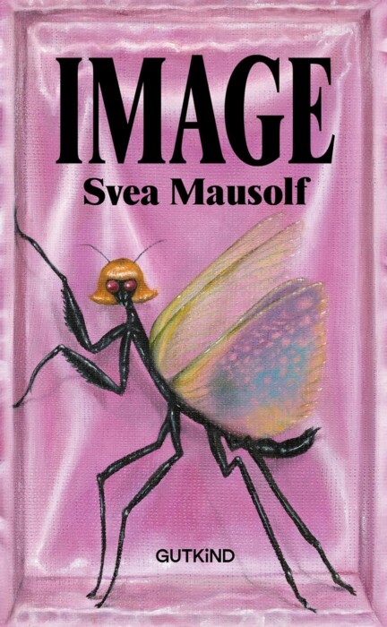 Buchcover „Image“ von Svea Mausolf