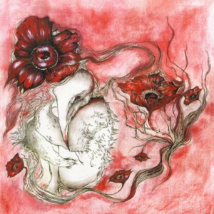 Albumartwork