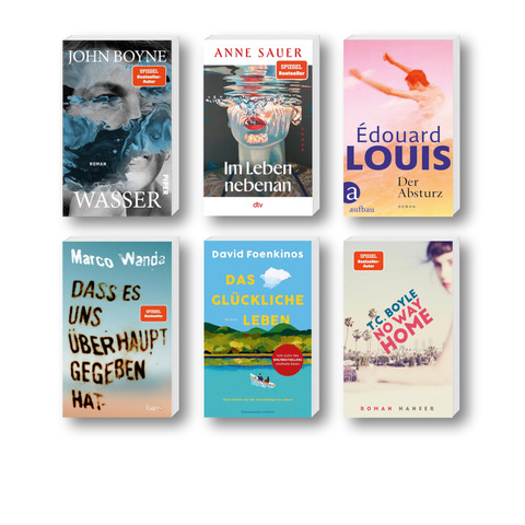 Die besten Bücher im Oktober 2025: Buchcover von Anne Sauer, Édouard Louis, T.C. Boyle, Marco Wanda, John Boyne und David Foenkinos