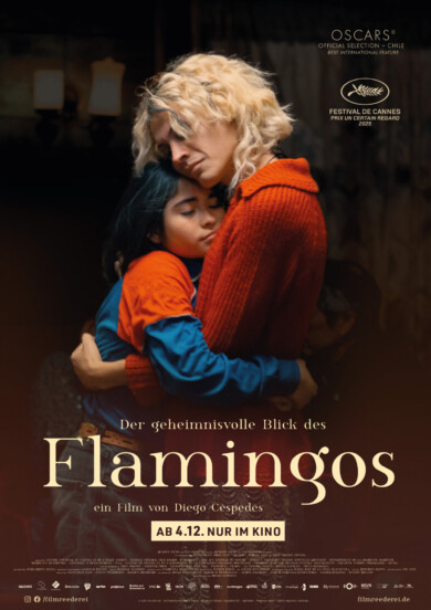 Filmplakat „Der geheimnisvolle Blick des Flamingos“