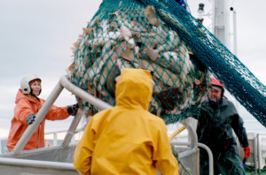 Die Seefahrerin läuft bei Arte.