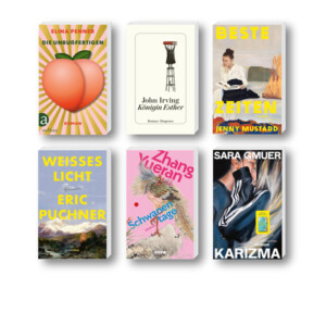 Die besten Bücher im Dezember 2025: Buchcover von John Irving, Sara Gmuer, Eric Puchner, Elina Penner, Zhang Yueran und Jenny Mustard
