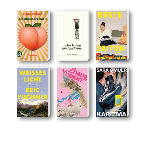 Die besten Bücher im Dezember 2025: Buchcover von John Irving, Sara Gmuer, Eric Puchner, Elina Penner, Zhang Yueran und Jenny Mustard