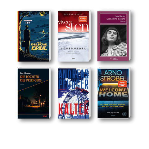 Die besten Krimis im Dezember 2025: Buchcover von Arno Strobel, Andreas Pflüger, Jake Hinkson, Josephine Tey, Pascal Garnier und Viveca Sten.