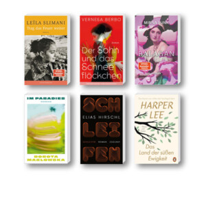 Die besten Bücher im Februar 2026: Buchcover von Elias Hirschl, Leïla Slimani, Dorota Maslowska, Harper Lee, Vernesa Berbo und Mirna Funk