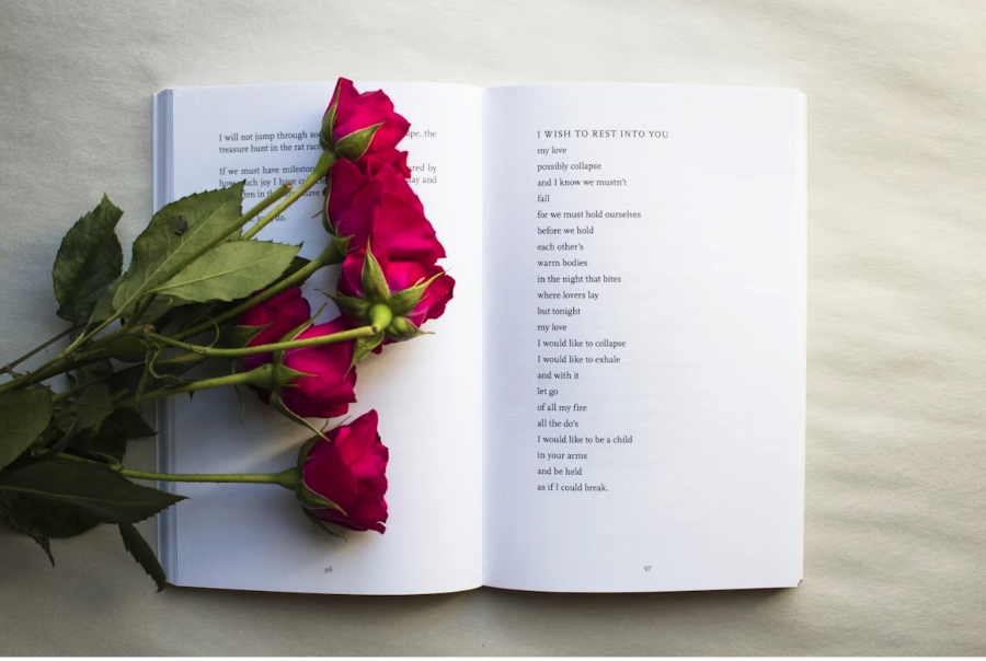 blumen_buch