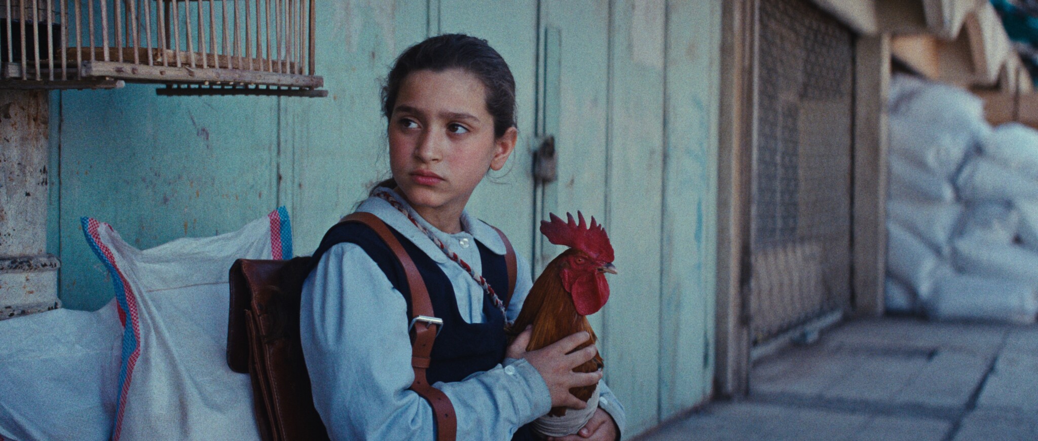 Der irakische Spielfilm „Ein Kuchen für den Präsidenten“ des Regisseurs Hasan Hadi läuft in den Kinos.