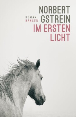 Buchcover „Im ersten Licht“ von Norbert Gstrein
