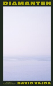 Buchcover „Diamanten“ von David Vajda