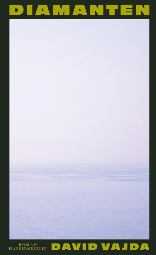 Buchcover „Diamanten“ von David Vajda