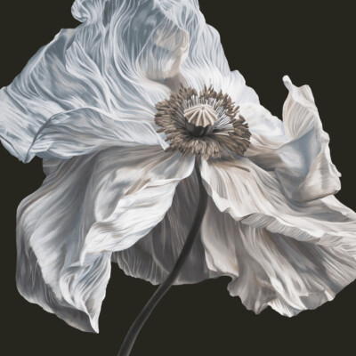 https___images.genius.com_b4054c0dbcaa4d8e0c1f6de1c5970a36.1000x1000x1