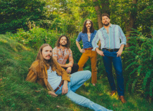 Die vier Sheepdogs posieren in wäldlicher Umgebung