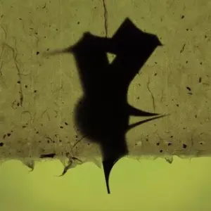 Sustained von Jungstötter Cover
